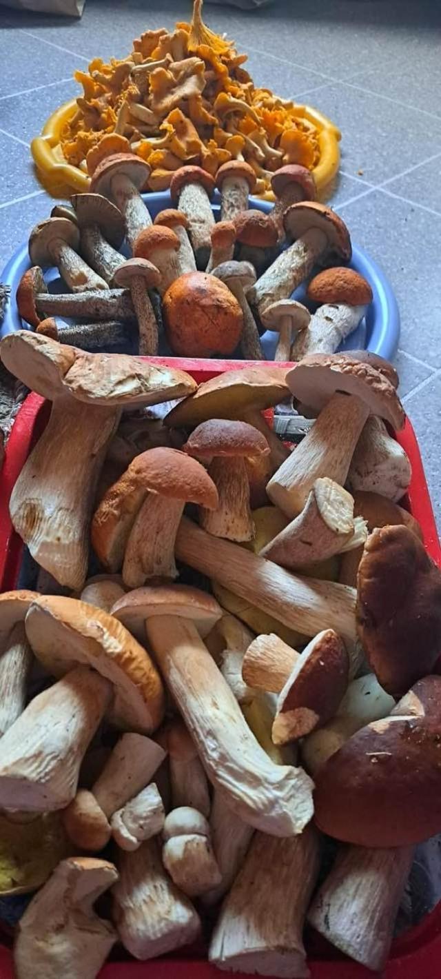 Pape Apartament * Pape